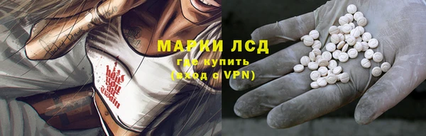 крисы Армянск