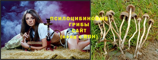 мяу мяу мука Арсеньев