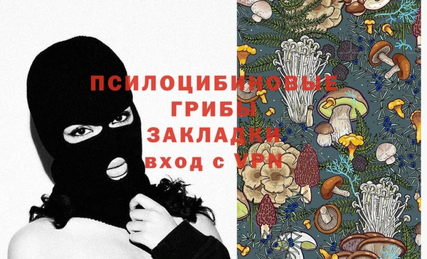 мяу мяу мука Арсеньев