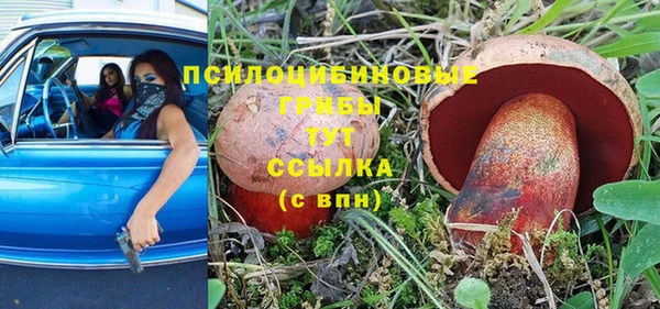 мяу мяу мука Арсеньев
