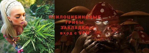 мяу мяу мука Арсеньев